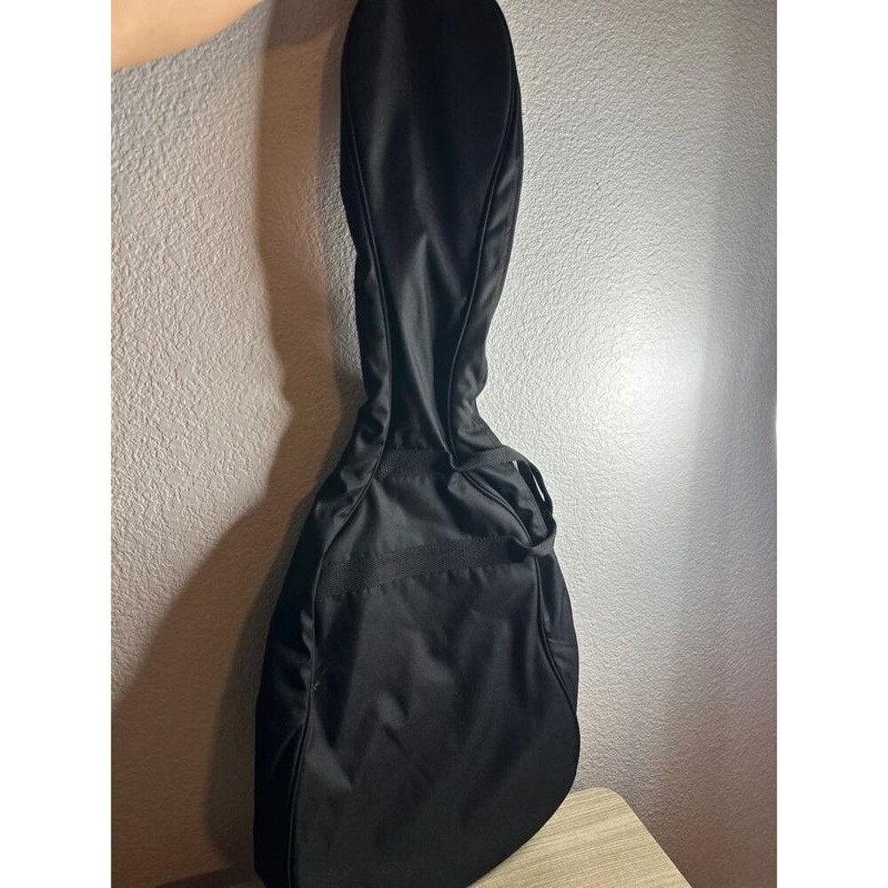 Guitar Bag for small guitar